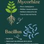 Terreau Aroïd Premium pour Aracées - Substrat enrichi en Mycorhize et Bacillus