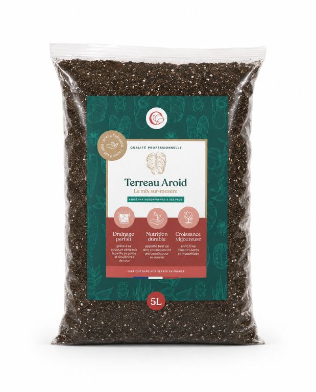 Terreau Aroïd Premium pour Aracées - Substrat enrichi en Mycorhize et Bacillus