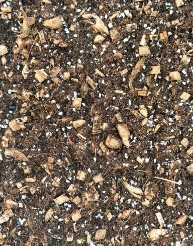 Terreau Aroïd Premium pour Aracées - Substrat enrichi en Mycorhize et Bacillus