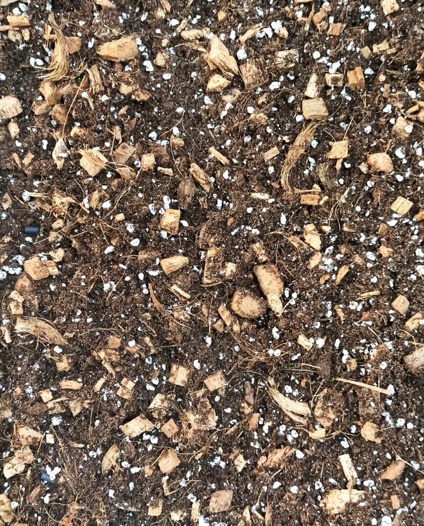 Terreau Aroïd Premium pour Aracées - Substrat enrichi en Mycorhize et Bacillus