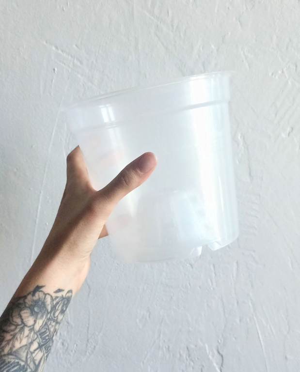 Acheter Pot plastique transparent en ligne - IndoorPoppies