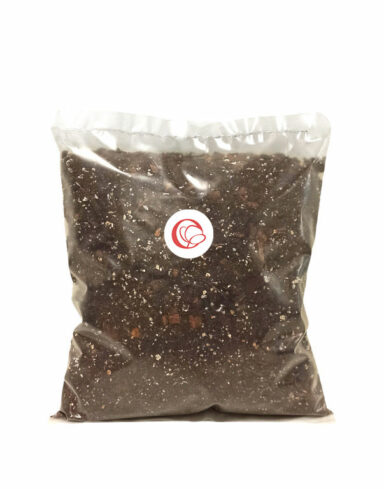 Terreau Aroïd pour Aracées – Enrichi en Mycorhize et Bacillus alternative