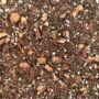Terreau alocasia Premium pour Aracées - Substrat enrichi en Mycorhize et Bacillus