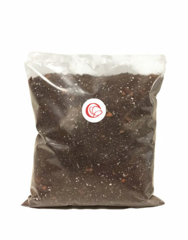 Terreau Ficus – Enrichi en Mycorhize et Bacillus alternative
