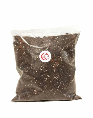 Terreau Hoya – Enrichi en Mycorhize et Bacillus alternative