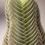 Crassula Buddha's Temple