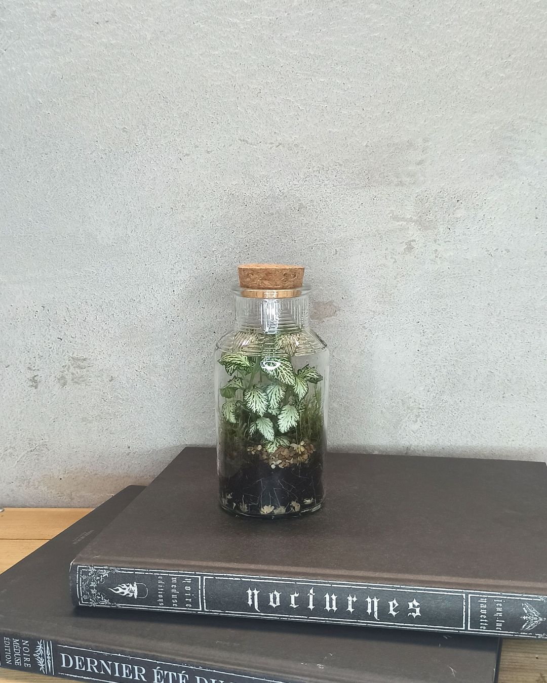terrarium en verre