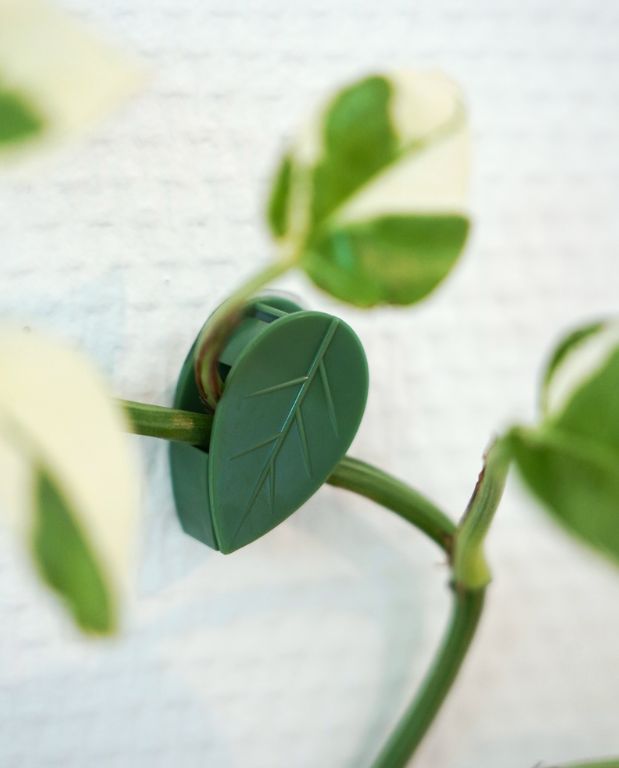 clips de fixation murale forme de feuille auto-adhesive