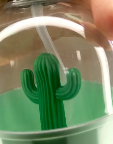 Vaporisateur Cactus pour plantes alternative