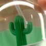 Vaporisateur pour plantes d'intérieur cactus