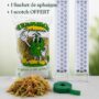 kit tuteur plat transparent avec sphaigne et scotch velcro