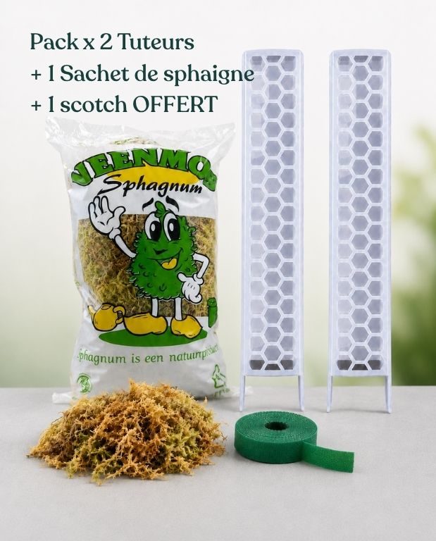 kit tuteur plat transparent avec sphaigne et scotch velcro