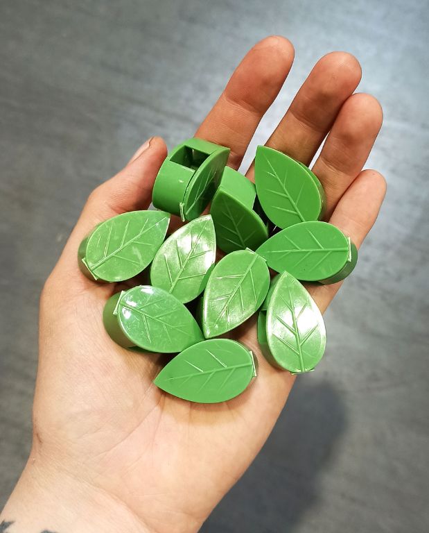 clips feuilles fixation murale plante