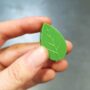 clips feuilles fixation murale plante