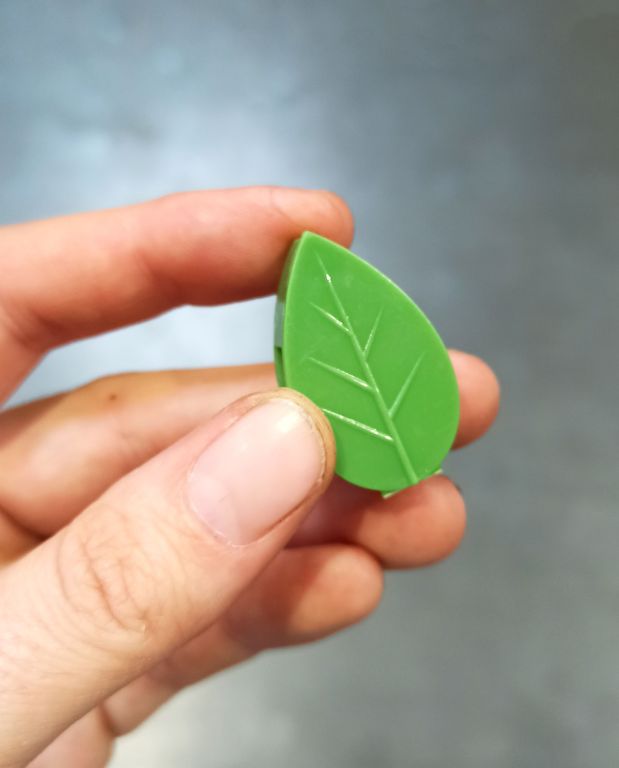 clips feuilles fixation murale plante