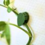 clips de fixation murale forme de feuille auto-adhesive