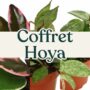 coffret hoya