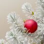 Sapin de Noël avec Neige - Pinus Pinea