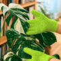 Gants microfibres pour Plantes contre les nuisibles