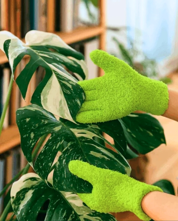 Gants microfibres pour Plantes contre les nuisibles