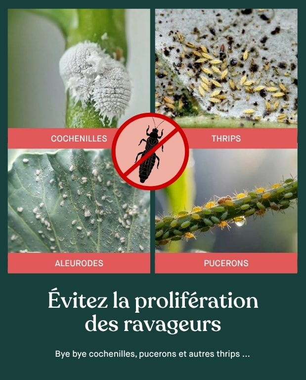 Gants microfibres pour Plantes contre les nuisibles