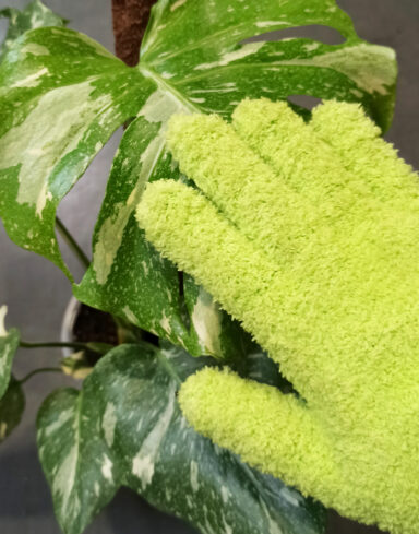 Gants Microfibres – Nettoyer les Feuilles des Plantes alternative