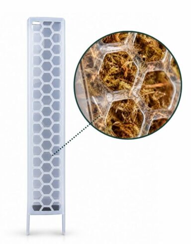 Tuteur Plat Transparent pour Plante – Support Plantes Grimpantes alternative
