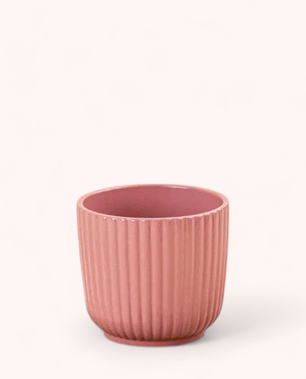 Cache-pot Céramique Rose 6cm