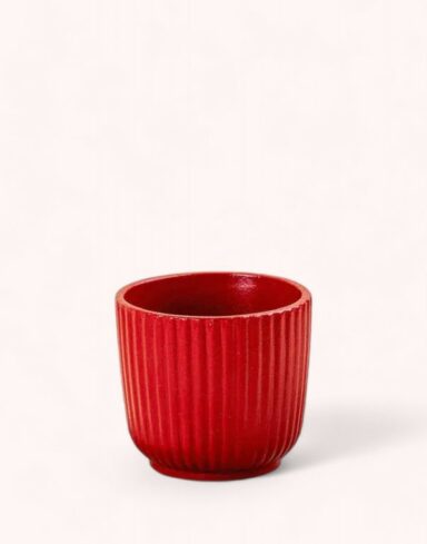 cache pot ceramique rouge 6cm