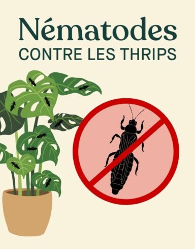 Nématodes Carpo - Anti Thrips - Nématodes contre thrips