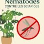 nématodes Felti (Steinernema feltiae)