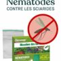 nematodes sf contre les sciarides - mouches de terreau