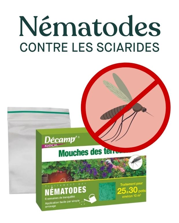 nematodes sf contre les sciarides - mouches de terreau