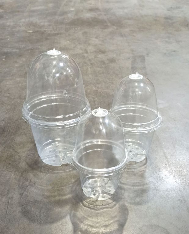 Pots de Semis transparent ronds avec Couvercles dôme