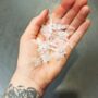 Pinces transparentes Libellules X10 pour Tuteur Plante