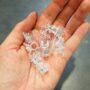 Pinces transparentes pour Plante x10 - Clips pour tuteur