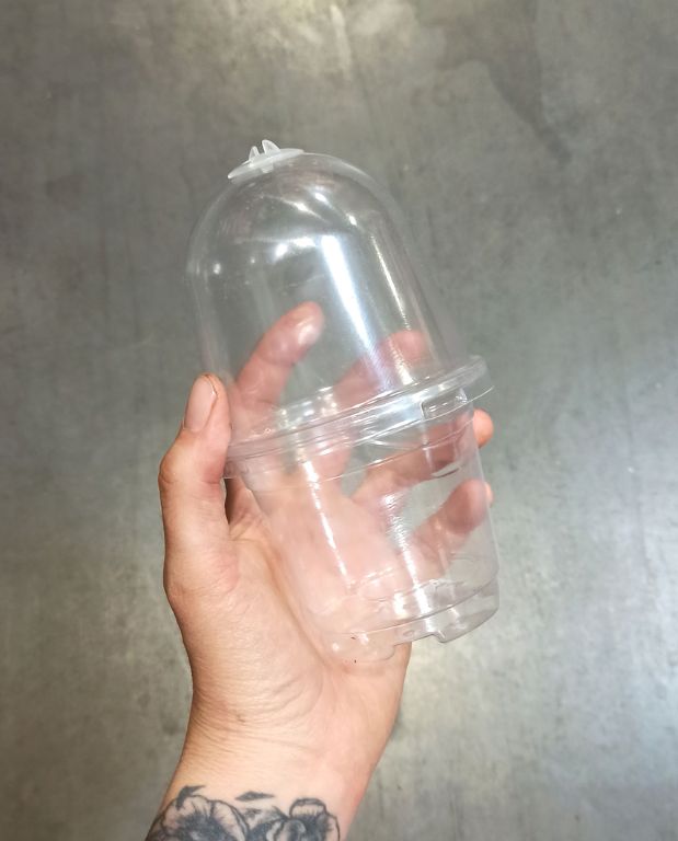Pots de Semis transparent ronds avec Couvercles dôme