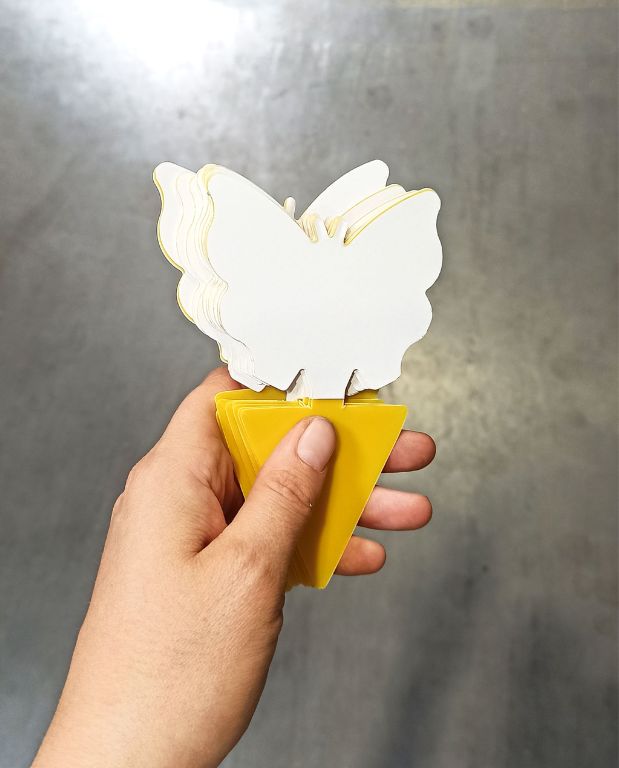 pièges jaunes englués papillon