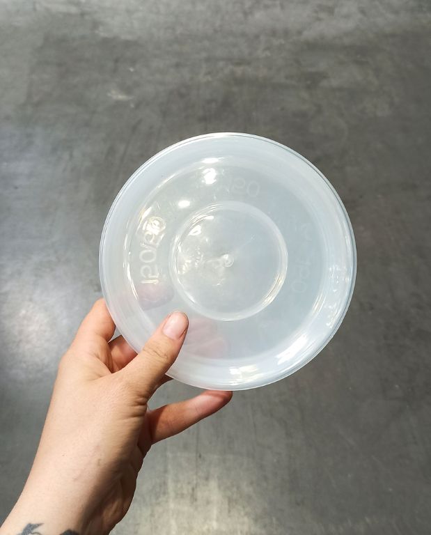 Soucoupes Transparentes Rigides pour Plantes