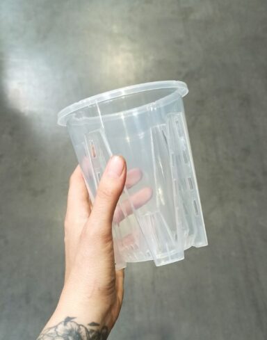 Pot Transparent profond pour Aracées – Parois Micro-Perforées
