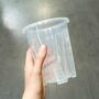Pot Transparent profond pour Aracées – Parois Micro-Perforées