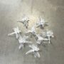 Pinces transparentes Libellules X10 pour Tuteur Plante
