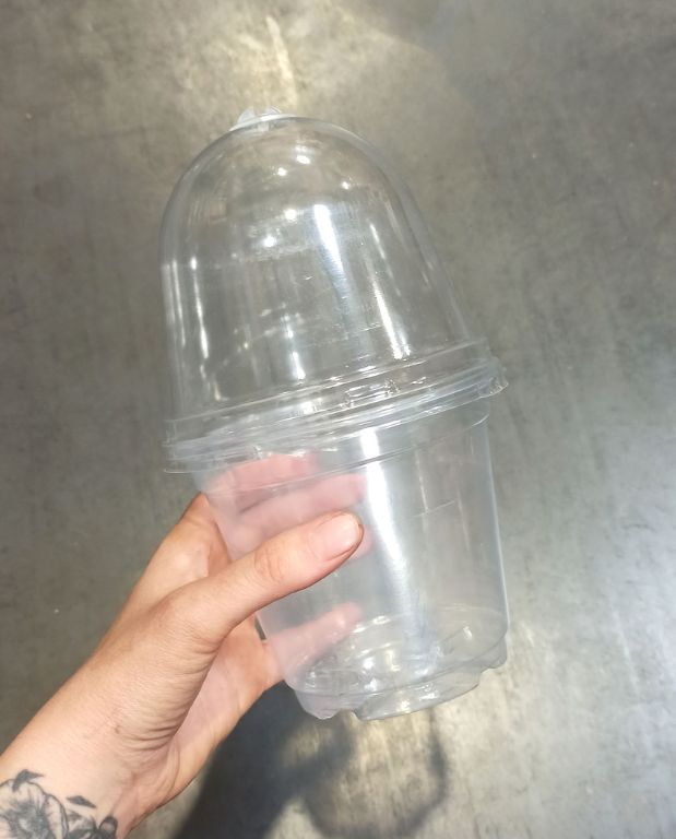 Pots de Semis transparent ronds avec Couvercles dôme