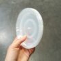Soucoupes Transparentes Rigides pour Plantes