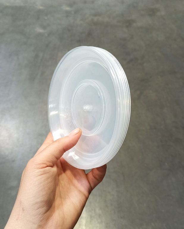 Soucoupes Transparentes Rigides pour Plantes