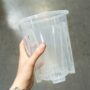 Pot Transparent profond pour Aracées – Parois Micro-Perforées