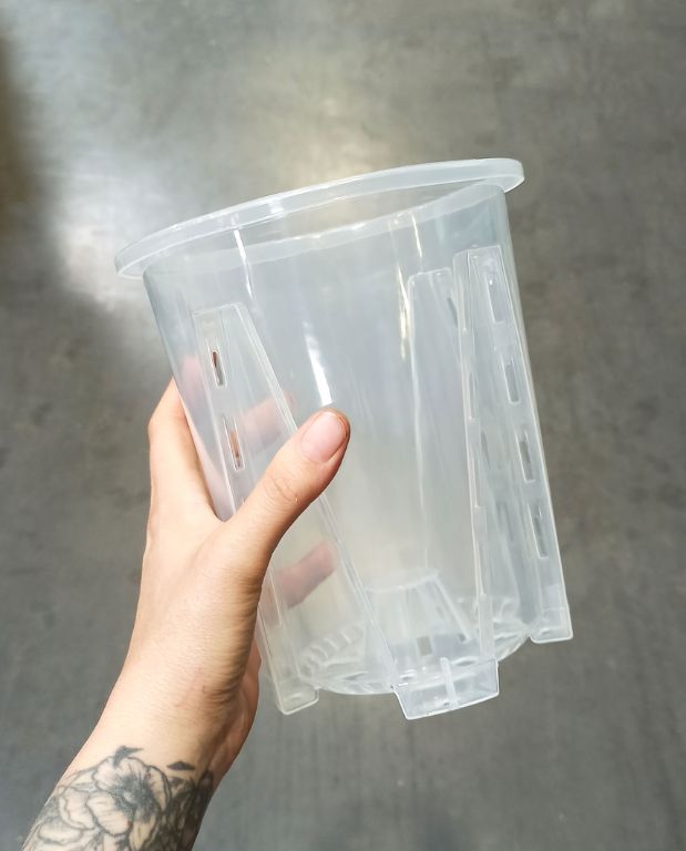 Pot Transparent profond pour Aracées – Parois Micro-Perforées