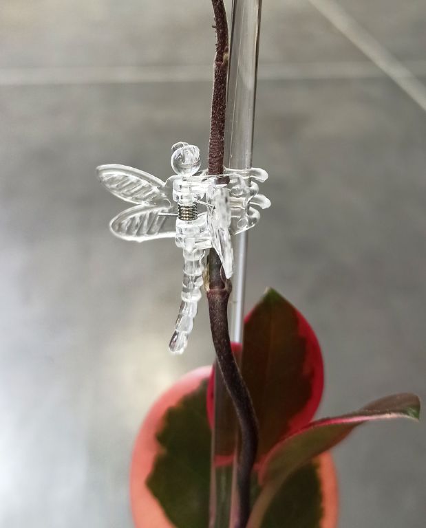 Pinces transparentes Libellules X10 pour Tuteur Plante