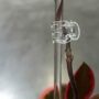 Pinces transparentes pour Plante x10 - Clips pour tuteur