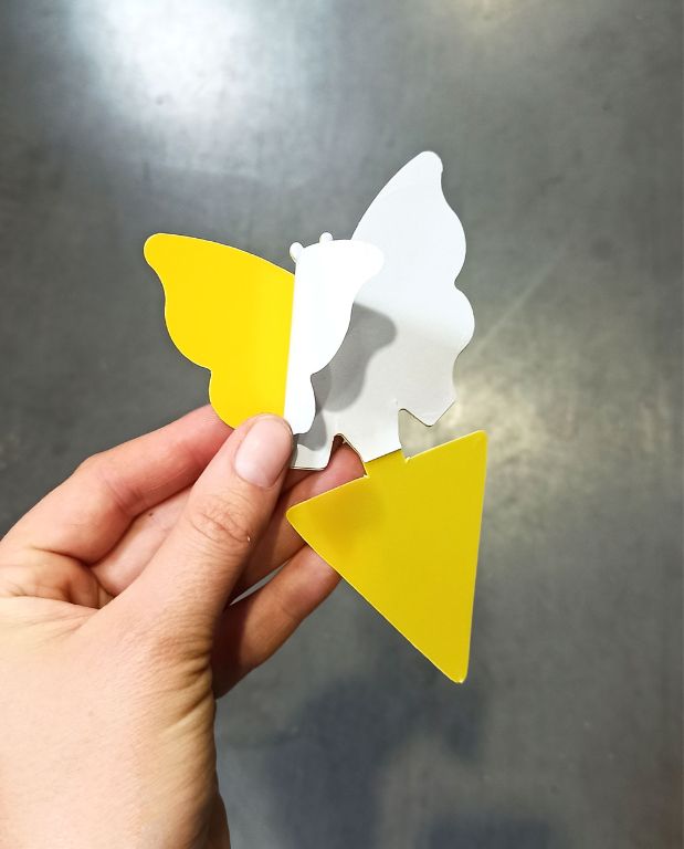 pièges jaunes englués papillon